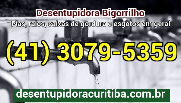 Desentupidora Bigorrilho